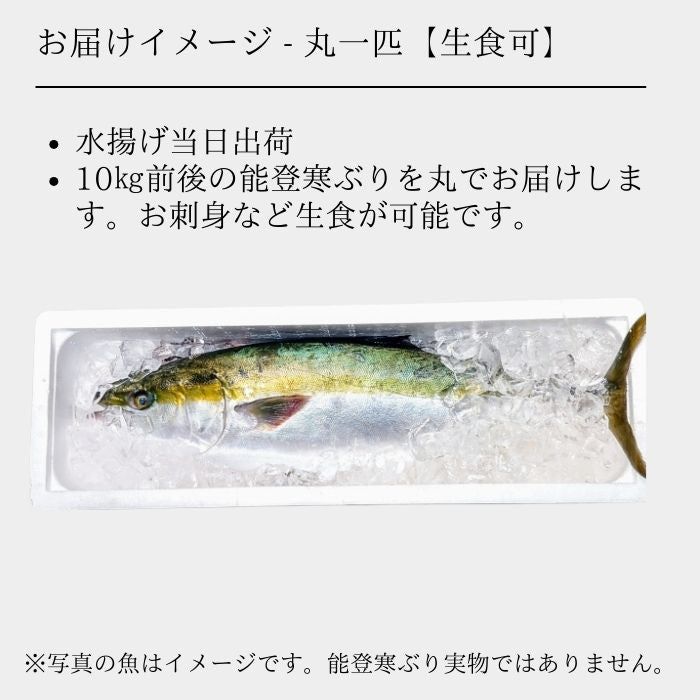 能登 刺身 鮮魚 通販 お取り寄せ 年末 父の日