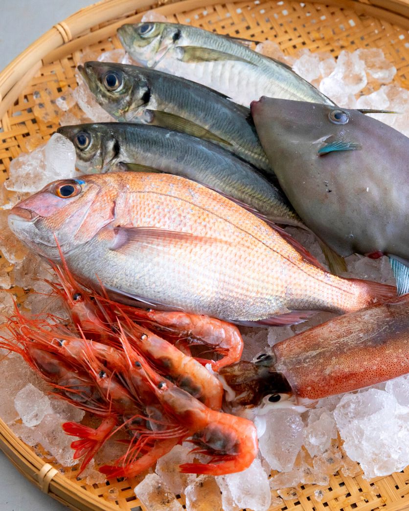 刺身 通販 能登 朝獲れ当日出荷 旬の鮮魚セット お取り寄せ