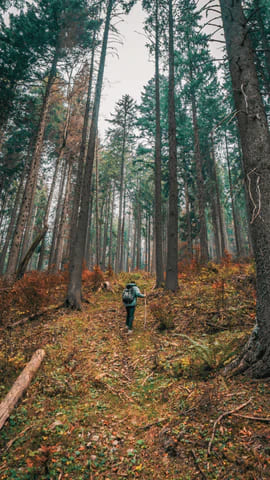 Harmonie mit der Natur, Naturerlebnis, Verbundenheit mit der Erde