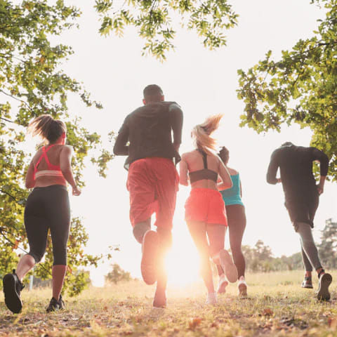 Sportgeräte, Trainingszubehör, Fitnessausrüstung