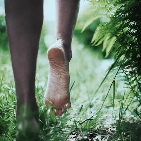 Natürliches Leben, Naturnähe, Rückkehr zur Natur