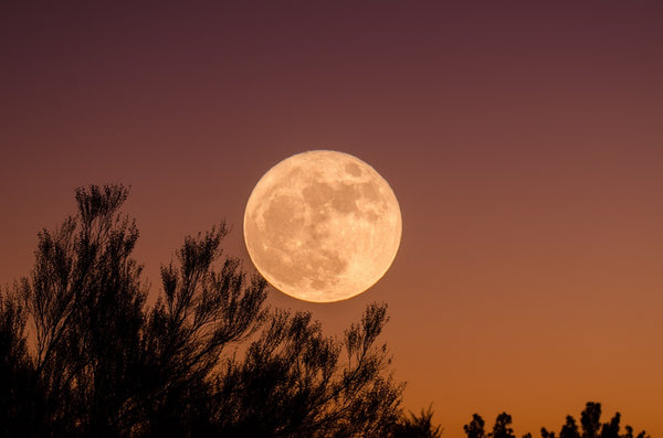 Total Lunar Eclipse in Taurus