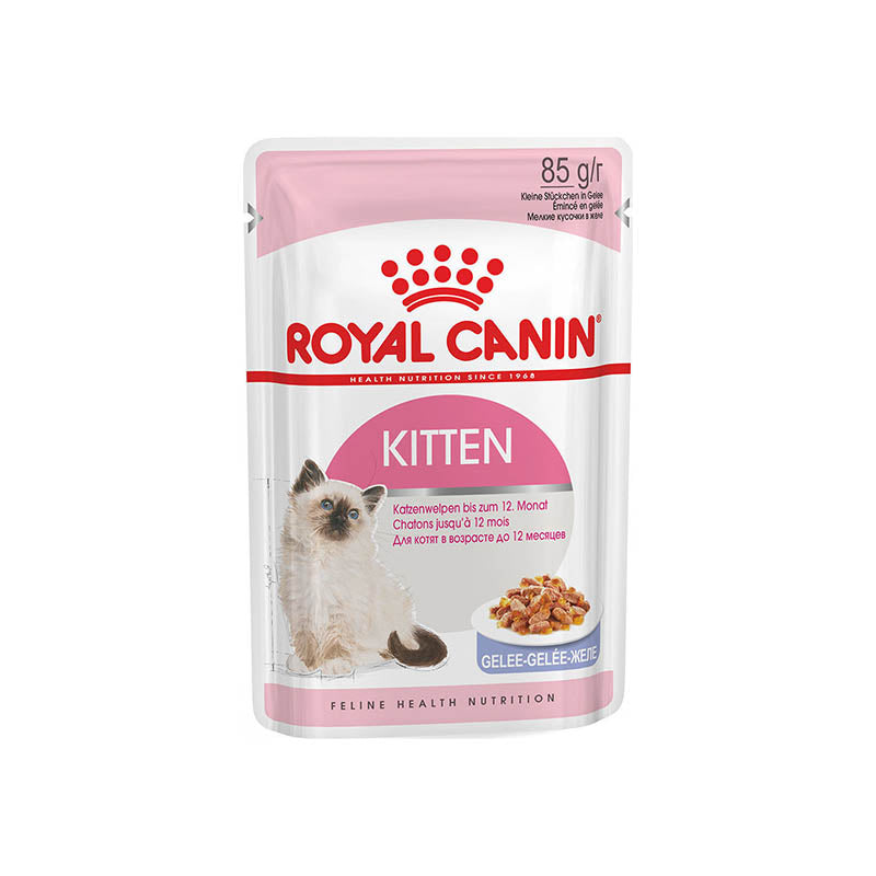 royal canin starter kitten