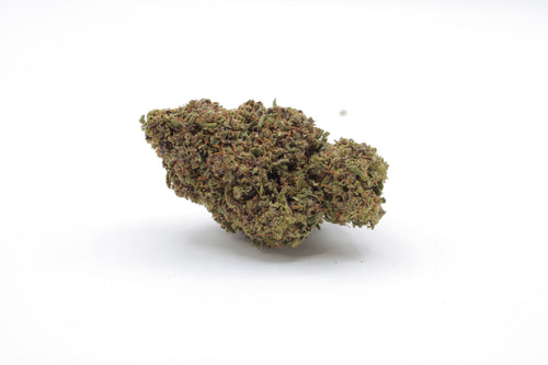 Pineapple Express Single Bud - Tops - Dec 23.JPG__PID:b4909a66-c59b-41ba-88c5-9465e87db3ea