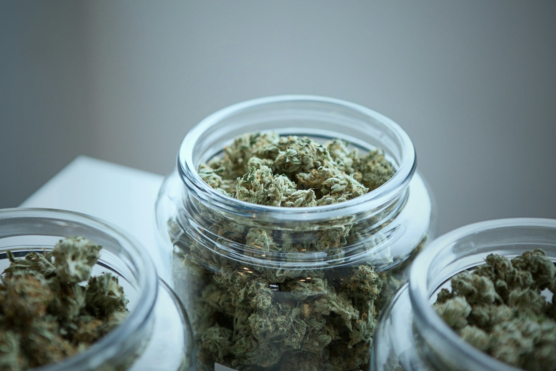 Hemp flower in three jars on a table