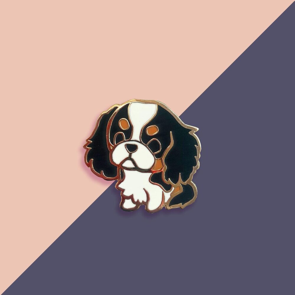 king charles spaniel tricolor