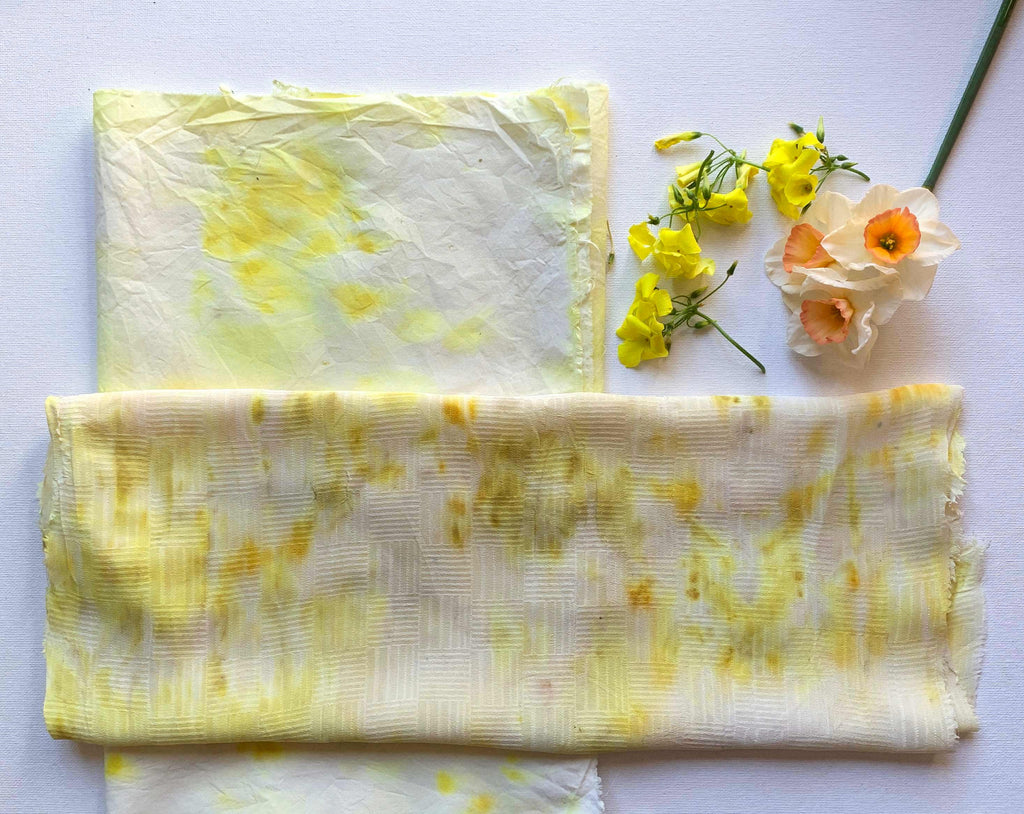 Seek DIY: Natural Dyes at Home – Seek Collective