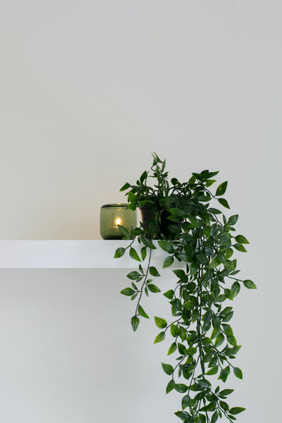 creeping plant vine on a small pot beside a candle on a floating shelf