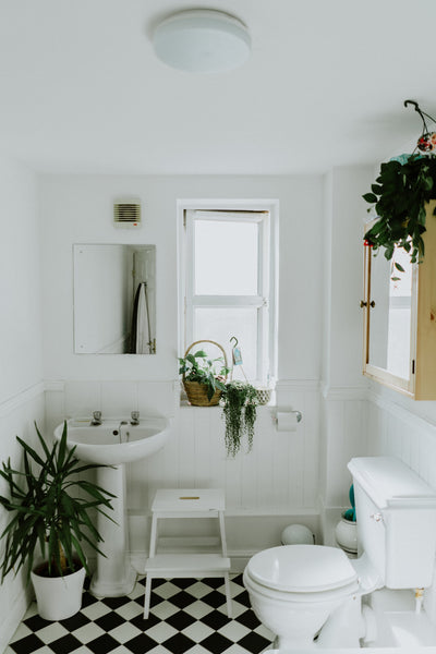 white bathroom with checkeboard floor and bathroom plants