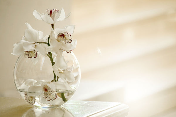 white orchids in fish bowl vase