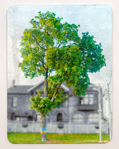 Spread Joy Maple Tree artwork by Nicola Woods. A tree growing on the street in front of a house in Toronto. The tree has charity Abbey's Goal rainbow ribbons wrapped around its trunk. 