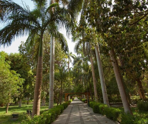 Aswan Botanical Garden