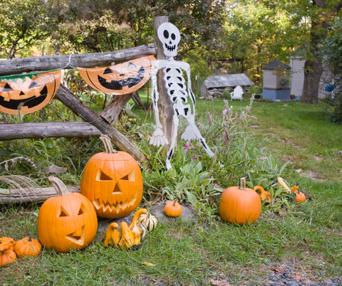 Halloween Garden Decor Ideas