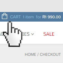How to Shop Online Step 3