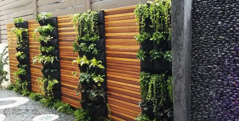 Vertical Gardens: Grow Up