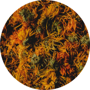 Plenty hard kombucha ingredient calendula