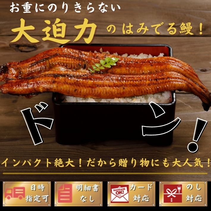 国産 うなぎ 超特大 蒲焼き 250g以上×4尾 – 池澤鮮魚オンラインショップ