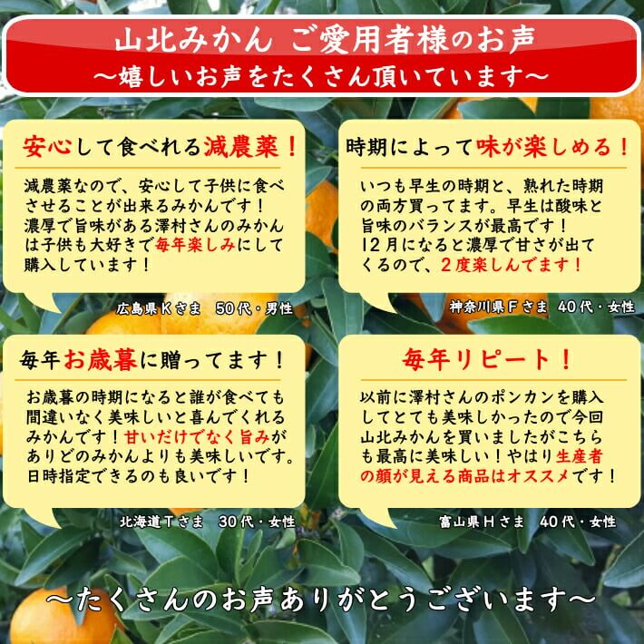 ご愛用者様のお声