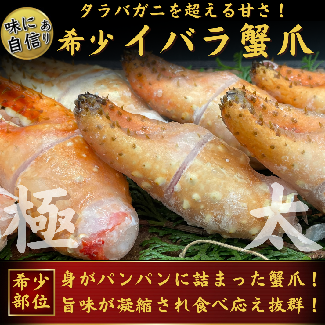 ボイル済　幻の蟹　イバラガニ　1kg　爪　切れ目入　タラバよりも甘いカニ　蟹爪　–　池澤鮮魚オンラインショップ