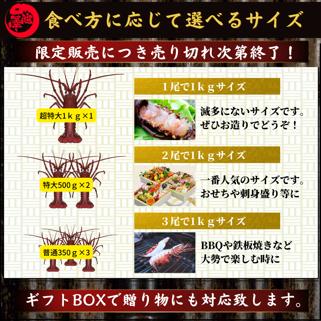 伊勢海老　–　1kg（選べる1～3尾）お刺身　池澤鮮魚オンラインショップ　高知県産　天然