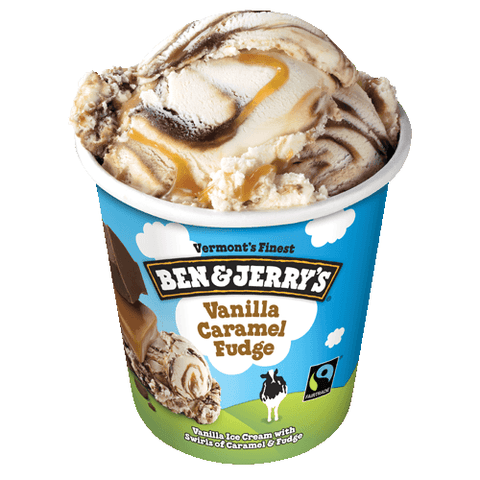 Ben & Jerry's Core Salted Caramel Sweet Cream Ice Cream, 16 oz