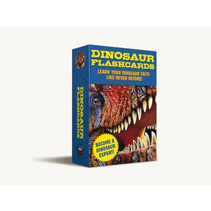Dinosaur Flash Cards - Puddleducks Grenada - Educational Flash Cards