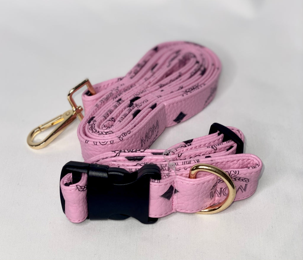 Louis Pawton Collar and Leash