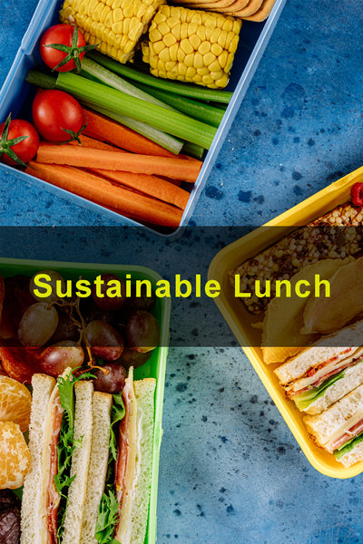 Sustainable School Lunches