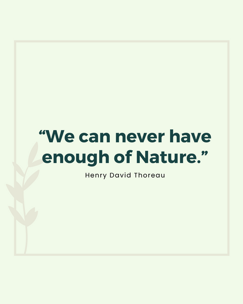 “We can never have enough of Nature.”