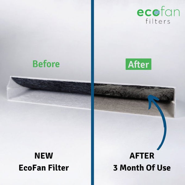 Before and after using EcoFan Filter air purifier