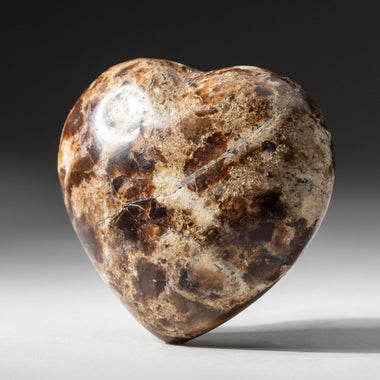 Petrified Wood Hearts – Bits of Nature Decor