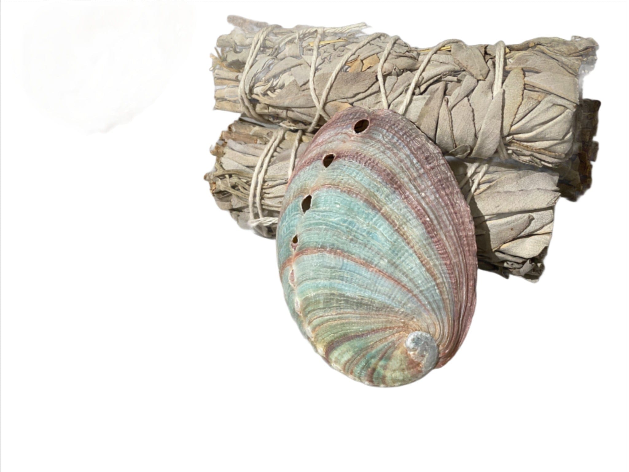 Red Abalone Shell Smudging 2-3"L