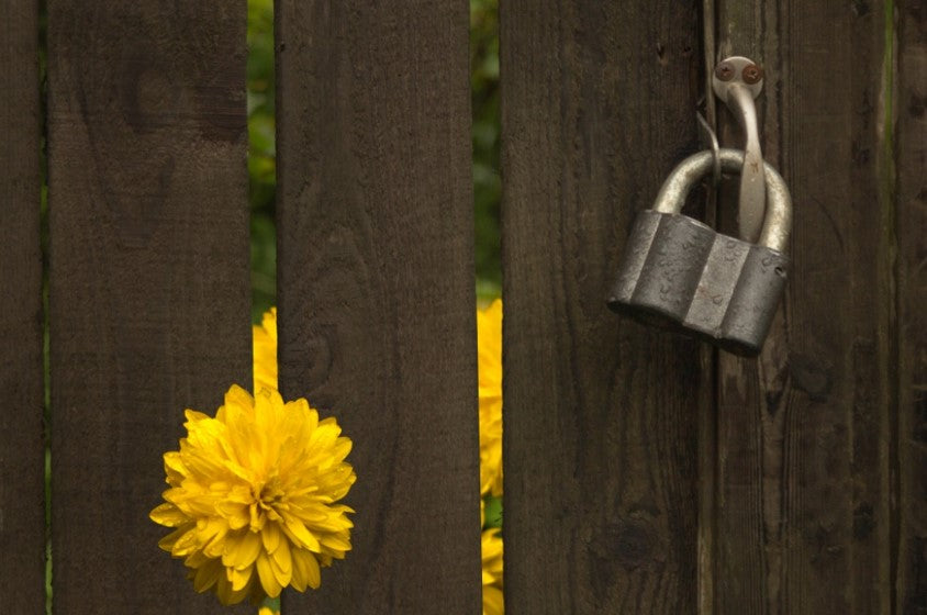 wooden door with lock