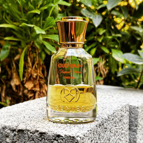 Oud rain Renier perfume