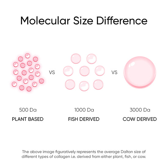 Molecular Size Difference