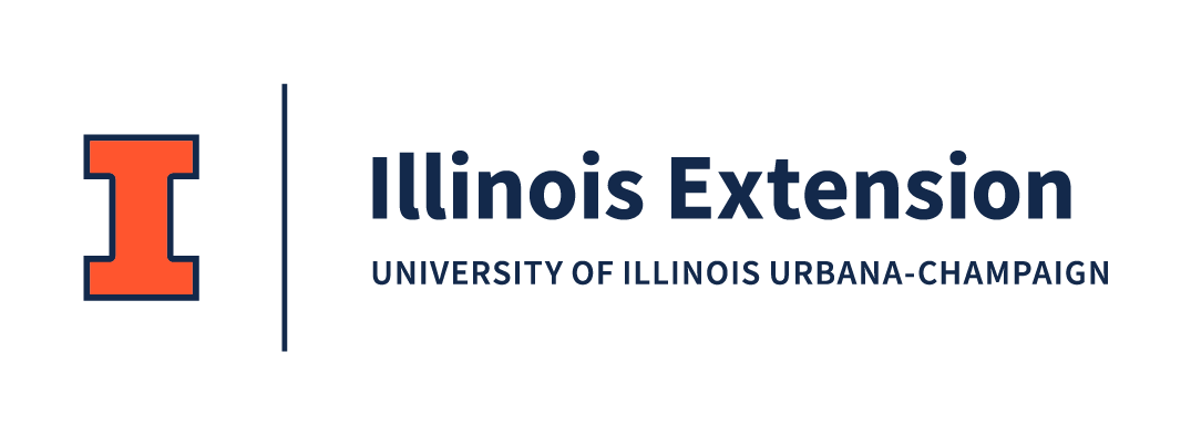 University Of Illinois