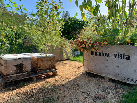 Bee gardens