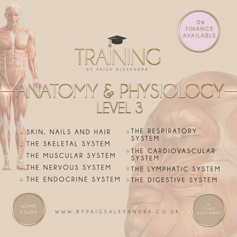 level 3 anatomy & physiology training course
