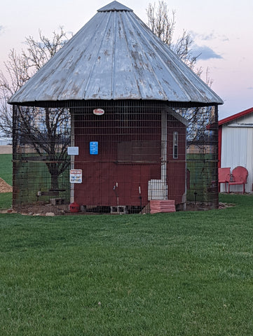 Covered Chicken Coop