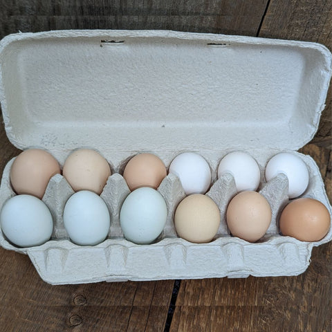 The HEN PICKED Box Hatching Egg Edition