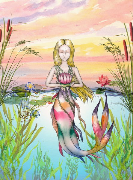 mermaid plants illustration