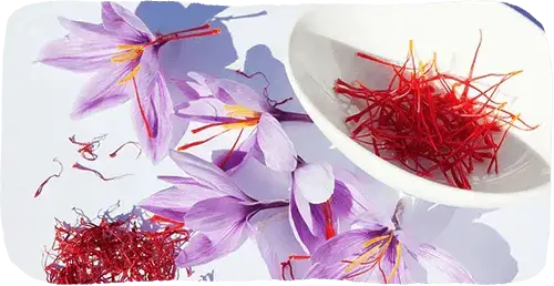 Saffron.webp__PID:056cf0e9-e54f-4cb9-8b44-bedddeddb48b