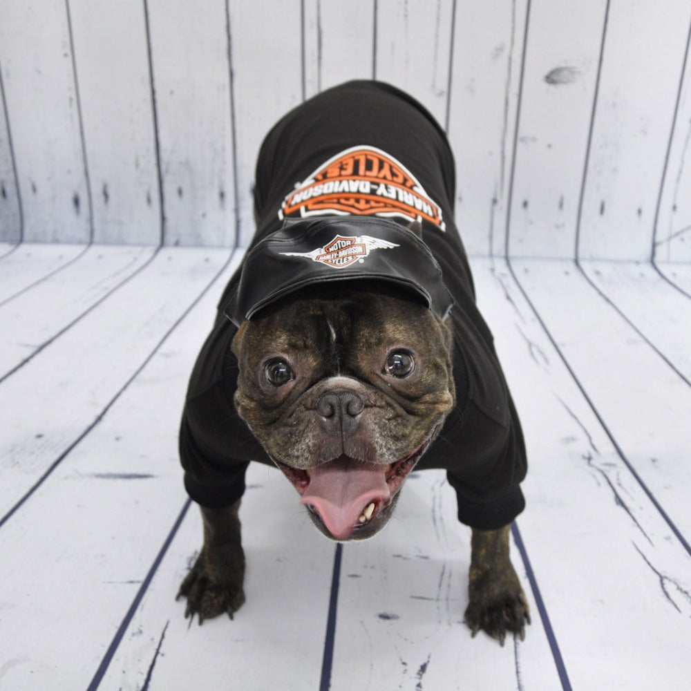 harley davidson puppy clothes