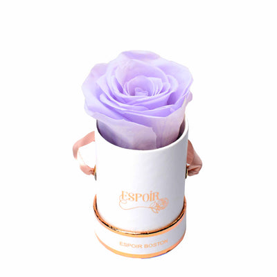 Dearon Candle Set (De Rose + Carousel) 170g – Coréelle