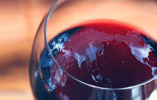 La passione per il vino in tutto il mondo