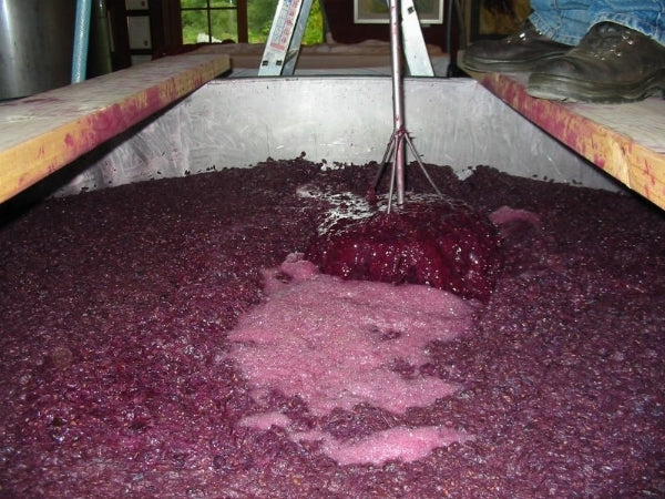 fermentazione-del-vino-rosso