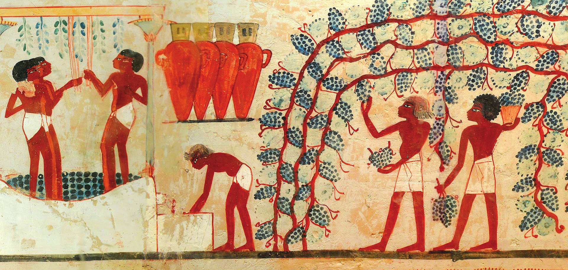 Vino e gli Antichi Egizi