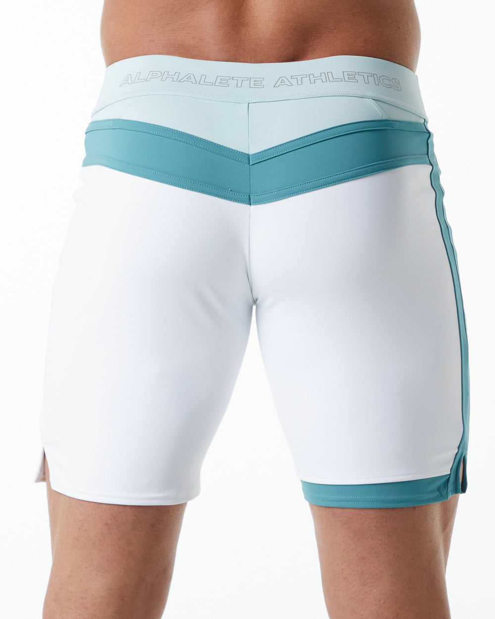 ALPHALETE Stage shorts 29inch-