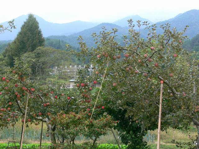 20071127飯田線01