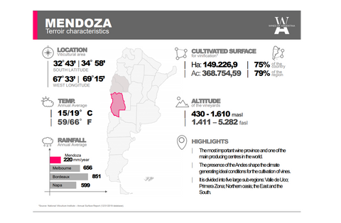 More information about Mendoza's wine region